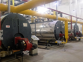 臥式燃?xì)忮仩t現(xiàn)場圖